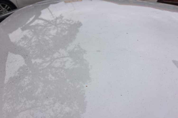 Used Peugeot 308 2014 Enjoy Edition Classic 1.6L Manual YouShang Model Roof