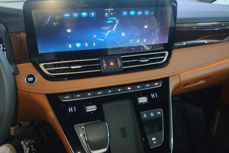 Used Hongqi HQ9 2023 2.0T Smart Connect Flagship Edition