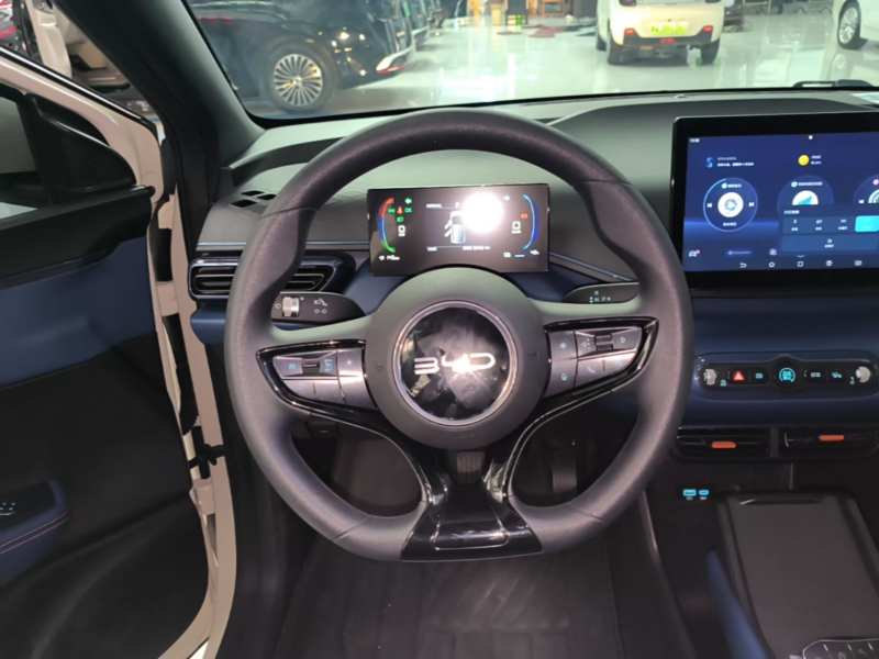 Used BYD Seagull 2025 Intelligent Driving Version 305 km Dynamic Edition — 10