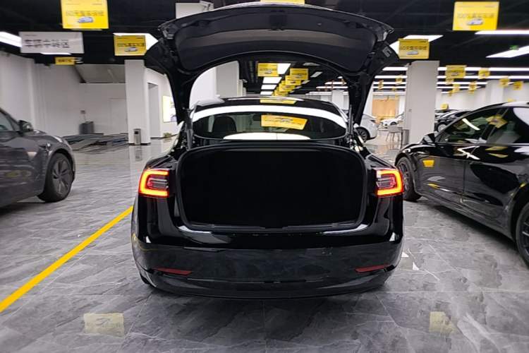 Used Tesla Model 3 2021 Revised Version Standard Range Rear-Wheel Drive Upgraded Edition 3D1