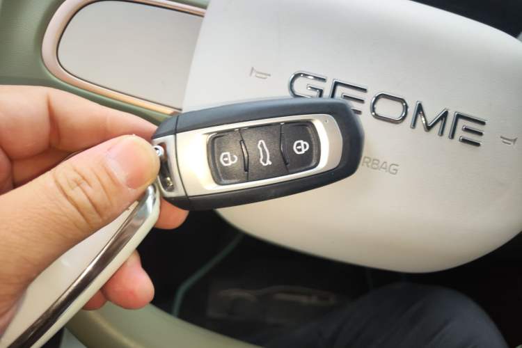 Used Geely Galaxy Panda 2025 210km Panda Rider
