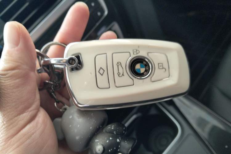 Used BMW 3 Series 2017 320Li Fashion Model
