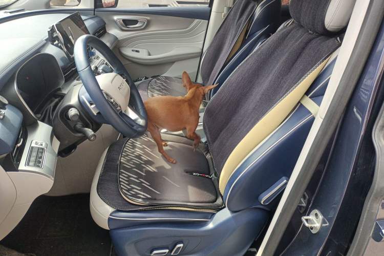 Used Roewe iMAX8 2021 400TGI Supreme Series Prestige Edition