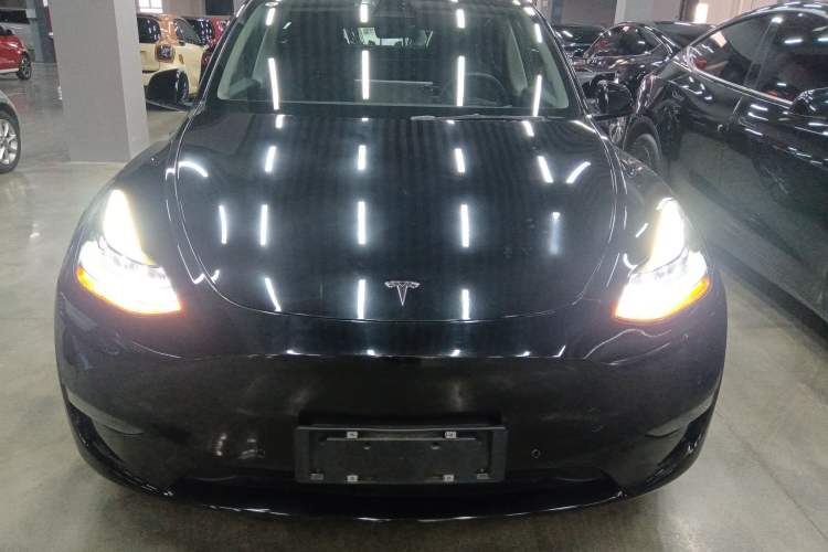 Used Tesla Model Y 2021 Standard Range Rear-Wheel Drive Version