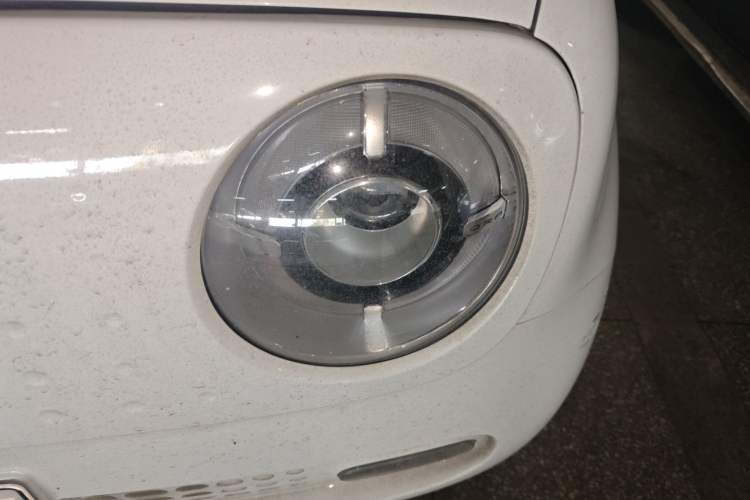 Used ORA Black Cat 2021 351 km Standard Version
