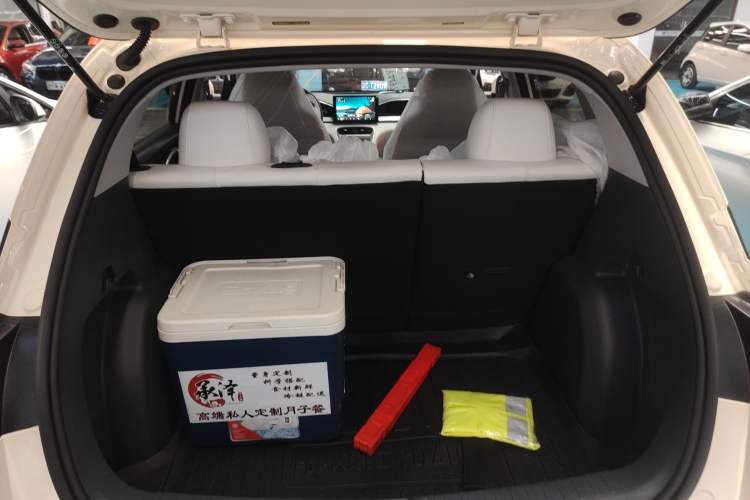 Used Geely Galaxy Geome 2026 Model 310km Youth Edition
