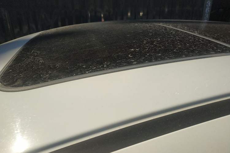 Used Honda Vezel 2020 1.5L CVT Pioneer Edition
