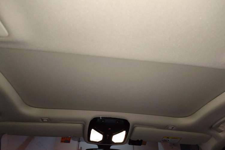 Used BMW 5 Series New Energy 2020 Mileage Upgrade Version 530Le Luxury Package
