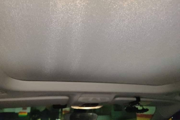 Used BMW X1 2020 sDrive20Li Fashion Model Headliner