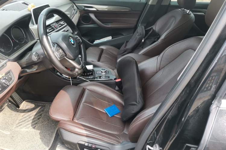 Used BMW X1 New Energy 2019 xDrive25Le Luxury Model Left Front Seat