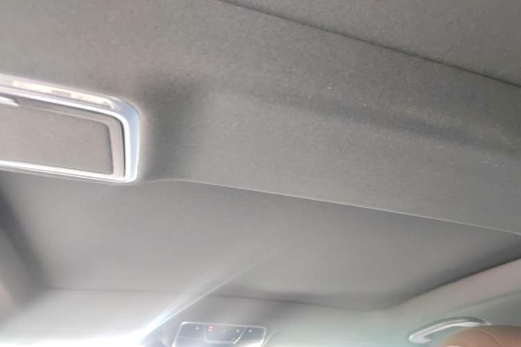 Used Mercedes-Benz S-Class 2019 S 320 L Headliner