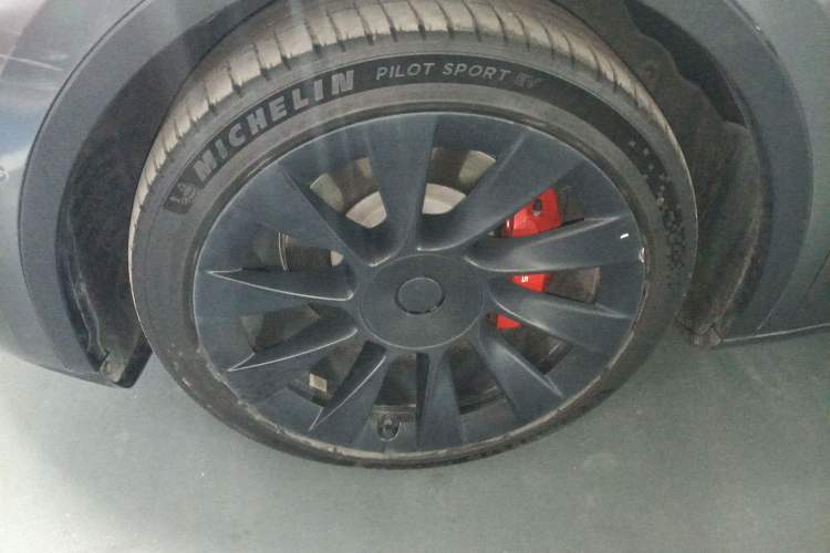 Used Tesla Model Y 2021 Standard Range Rear-Wheel Drive Version