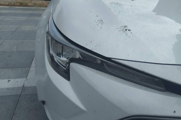 Used Toyota Levin 2021 185T CVT Luxury Edition