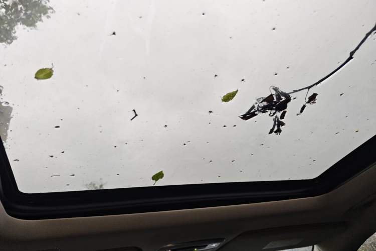 Used Lynk & Co 01 2019 2.0T Two-Wheel Drive Zhaopu Version China VI Standard Headliner