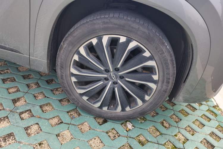 Used Chery Tiggo 9 2023 2.0T Dual-Clutch Two-Wheel Drive Prestige Version 5 Seats