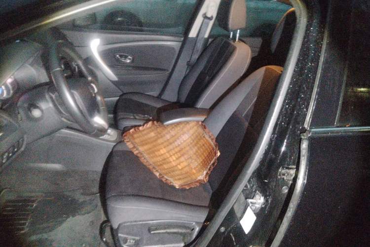 Used Renault Fluence 2015 2.0L Standard Edition
