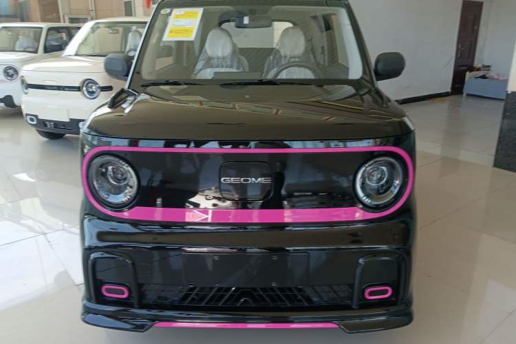 Used Geely Galaxy Panda 2025 210km Panda Kart