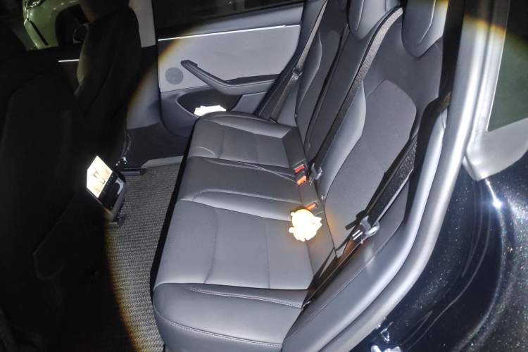 Used Tesla Model 3 2025 Rear-Wheel-Drive Version Left Rear Seat