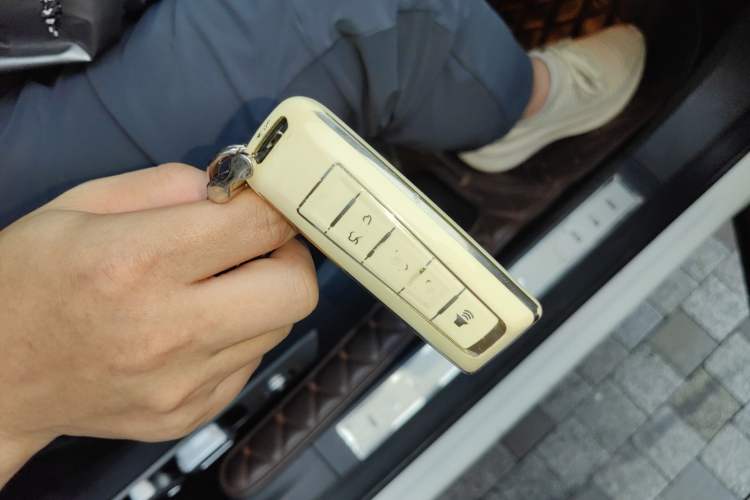 Used Wey P8 2018 2.0T Flagship Model
