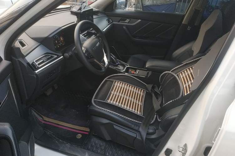 Used Venucia T60EV 2020 AI Enjoyment Model