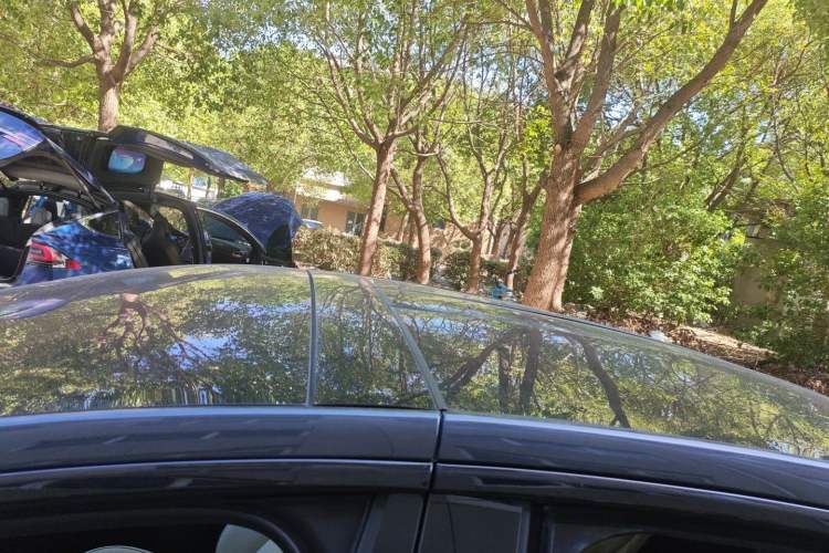 Used Tesla Model X 2023 Three-Motor All-Wheel-Drive Plaid Version