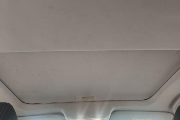 Used Venucia T90 2017 2.0L CVT Smart Edition Headliner