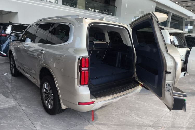 Used Tank 500 2022 3.0T Sport Edition "Creation" Version 5-Seater
