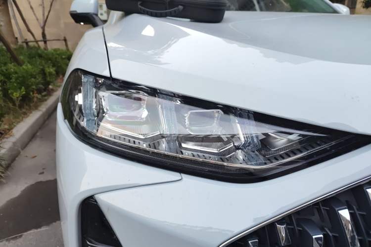 Used Wey Mocha 2021 2.0T Four-Wheel Drive Premium Edition