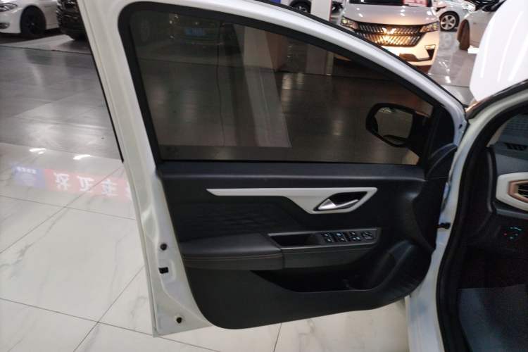 Used SOL E10X 2022 Flower Fairy Design Dandelion