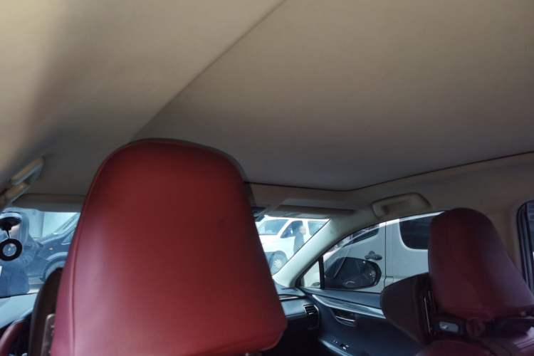 Used Lexus NX 2018 300h All-Wheel-Drive FENGZHI Edition China V Emission Standard Headliner