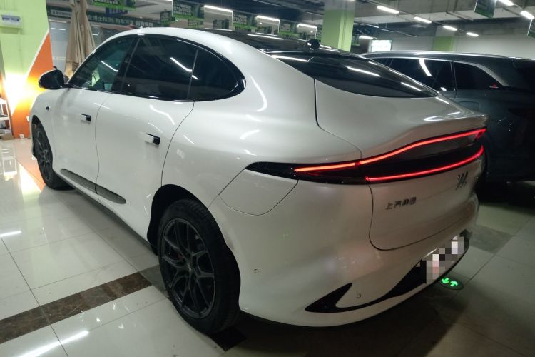 Used IM LS6 2023 Max Long-Range Version
