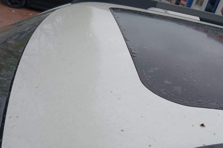 Used Haval DARGO 2022 2.0T DCT 4x4 Xiaotianquan Pursuit Edition
