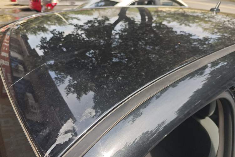 Used ORA Black Cat 2021 301 km Basic Version