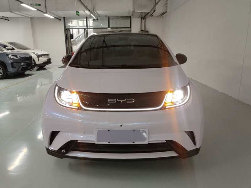 Used BYD Dolphin 2023 420 km Fashion Edition — 2