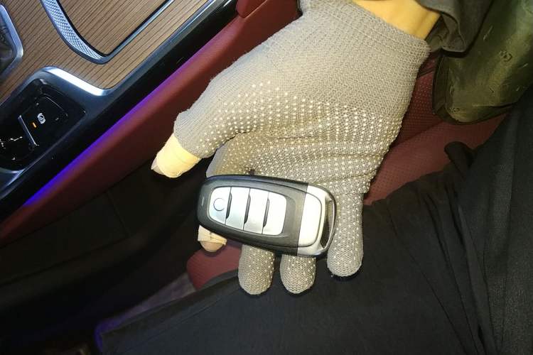 Used Hongqi E-HS9 2022 660 km Range Flagway Edition Six Seats
