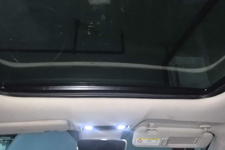 Used Leapmotor C11 2021 Deluxe Edition Headliner