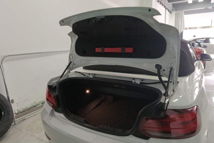 Used BMW 2 Series 2019 225i Convertible Coupe Sports Design Package
