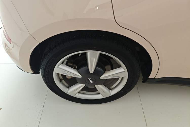 Used ORA Good Cat 2023 401 km Standard Range Luxury Version Lithium Iron Phosphate
