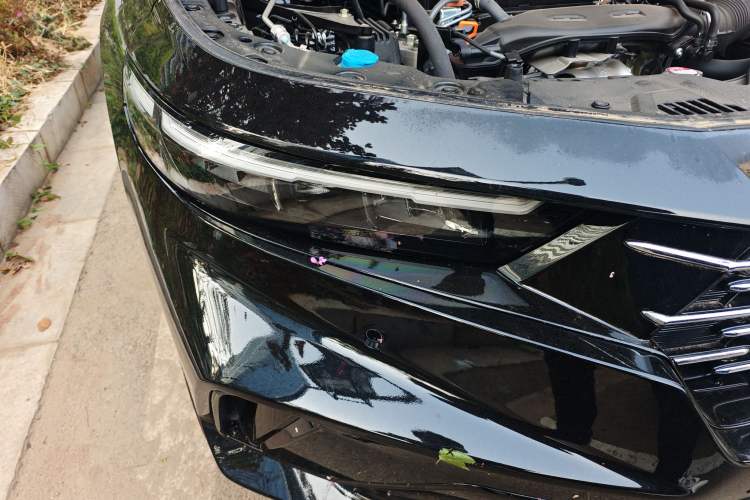 Used Honda Accord 2025 260TURBO Prestige Edition