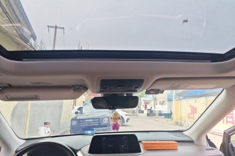 Used Lexus RX 2020 300 Two-Wheel Drive Comfort Edition China VI Standard Headliner