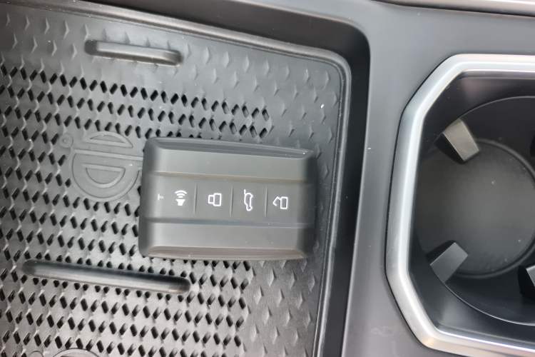 Used Tank 400 2025 2.0T Gasoline Version