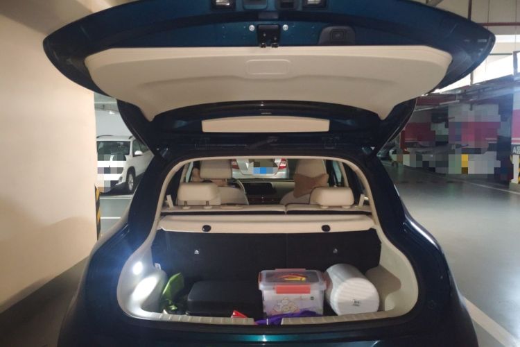 Used ORA Good Cat 2022 Morandi Edition 400km Standard Range Premium Version Lithium Iron Phosphate
