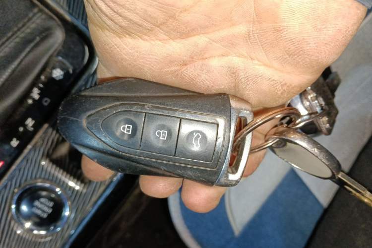 Used Leopaard CS9 2017 1.5L CVT Comfort Model
