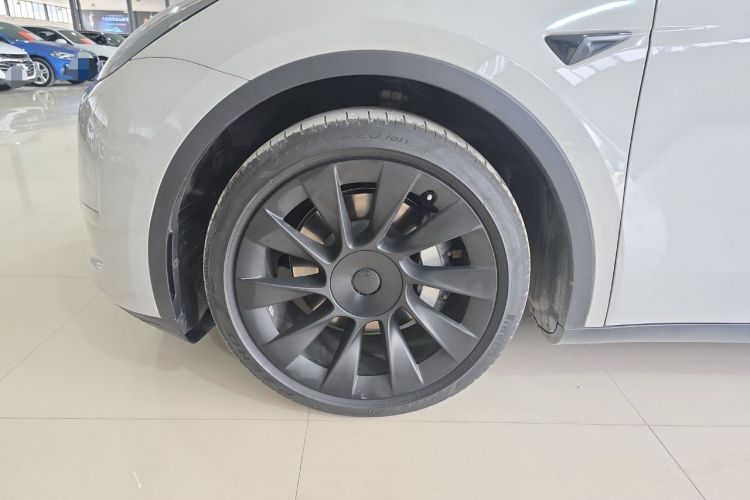 Used Tesla Model Y 2021 Standard Range Rear-Wheel Drive Version
