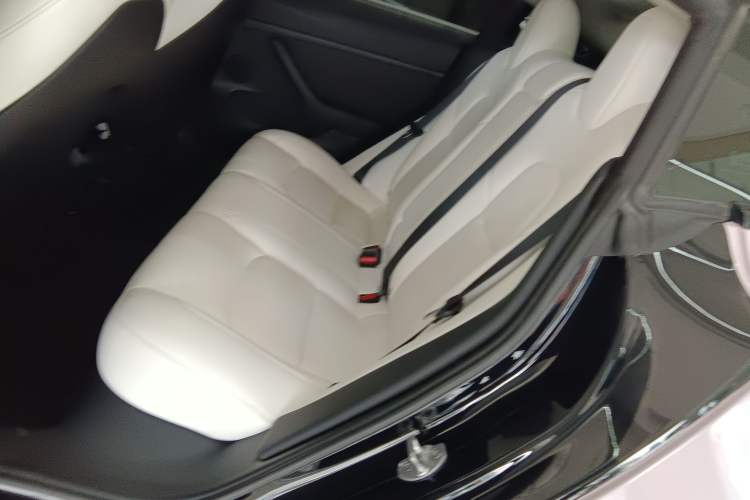 Used Tesla Model 3 2022 Rear-Wheel-Drive Version
