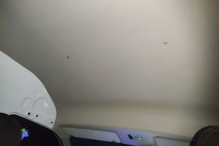 Used Foton Scenic G9  Headliner