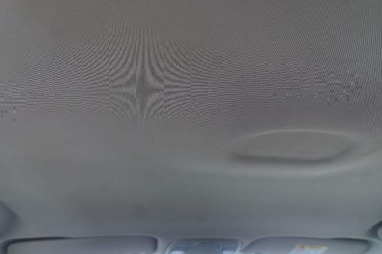 Used Geely Auto Emgrand New Energy 2019 EV500 Ambition Standard Range Edition Headliner