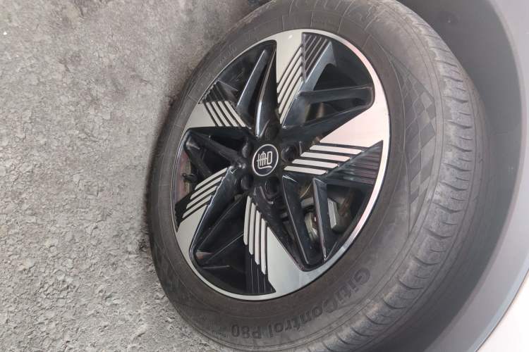 Used BYD Tang New Energy 2023 DM-i Champion Edition 112KM Prestige Model
