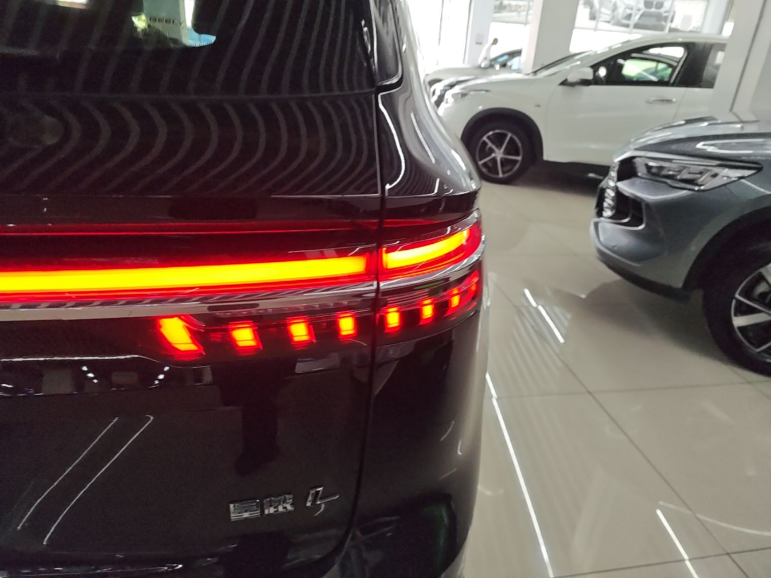 Geely Auto Monjaro L 2024 2.0TD DCT EVO Two-Wheel Drive Long-Range Version — снимка 9