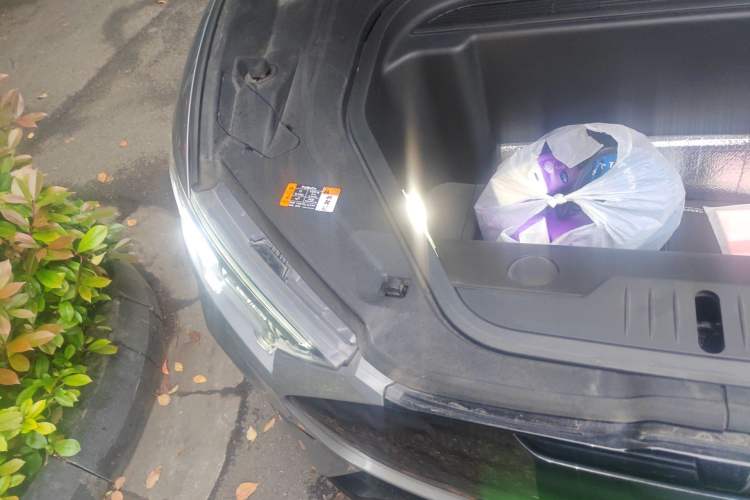 Used Ford Mustang Mach-E 2021 GT Model Right Front Headlight